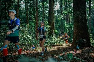 BIB: 
                            <button type="button" onclick="openModal(26133183)" class="btn btn-primary btn-sm float-right btn-popup" data-toggle="modal" data-target=".modal-high-quality">
                        <i class="fas fa-shopping-cart"></i> Add to Cart
                    </button>
                                            <button type="button" onclick="isThisMe(26133183, true)" class="btn btn-success btn-sm float-right btn-popup btn-isme hidden" data-toggle="tooltip" data-placement="bottom" title="นี่คือรูปของคุณใช่ไหม คลิกที่นี่เพื่อเอาเข้าอัลบั้ม">
                        <i class="fas fa-plus"></i> Add to album
                    </button>
                    <button type="button" onclick="isThisMe(26133183, false)" class="btn btn-warning btn-sm float-right btn-popup btn-isnotme hidden">
                        <i class="fas fa-ban"></i> Remove from album
                    </button>